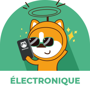 Electronique